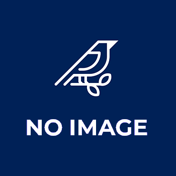 M/S K.M. Enterprises Imphal